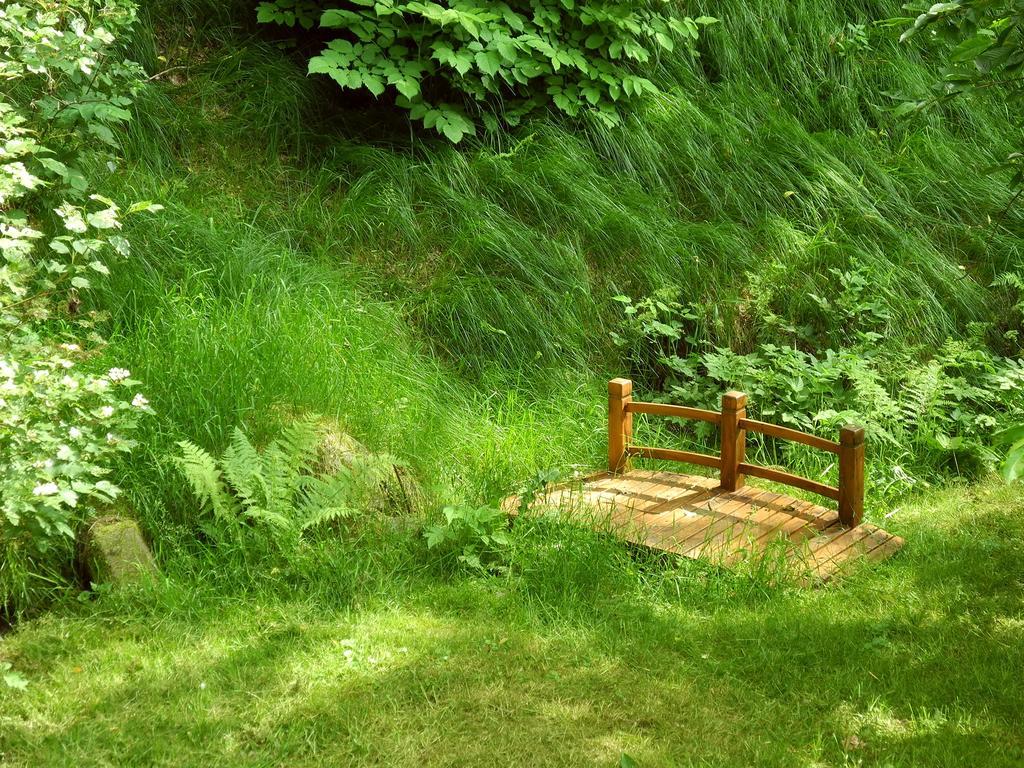 Ferienhaus Am Urzeitpark Sebnitz Hertigswalde Esterno foto