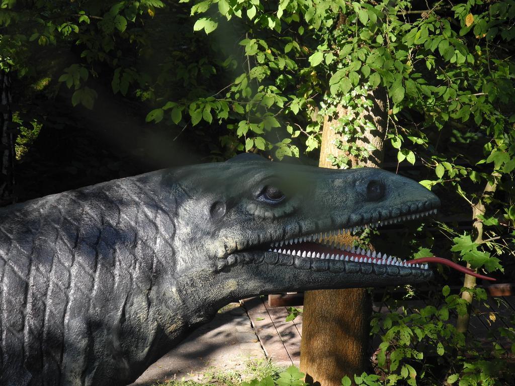 Ferienhaus Am Urzeitpark Sebnitz Hertigswalde Esterno foto